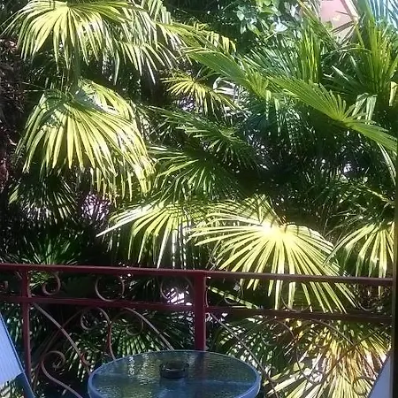 And With Parking Space Lovran, Opatija - 10403 Lovran